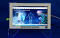 Κβαντική βιο-ηλεκτρική συσκευή ανάλυσης 38 υγείας σώματος οθόνης Quantouch εκθέσεις προμηθευτής