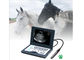 CLS5800 πλήρες ψηφιακό υπερηχητικό διαγνωστικό σύστημα ανιχνευτών υπερήχου lap-top κτηνιατρικό προμηθευτής